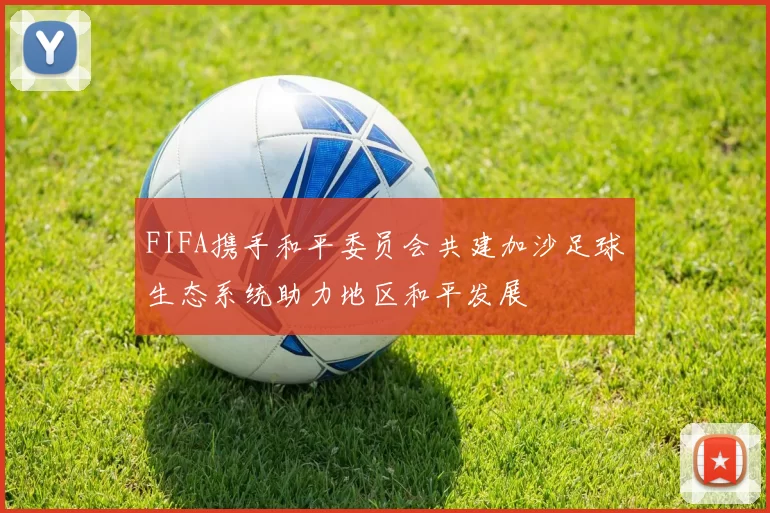 FIFA携手和平委员会共建加沙足球生态系统助力地区和平发展